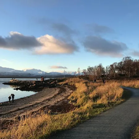 Lejlighed Arctic - Cozy Near And Fjord *