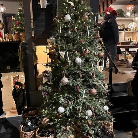 Arctic - Cozy Near And Fjord