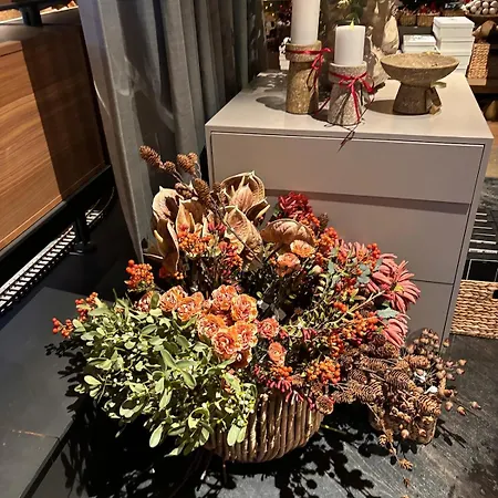 Arctic - Cozy Near And Fjord Lejlighed