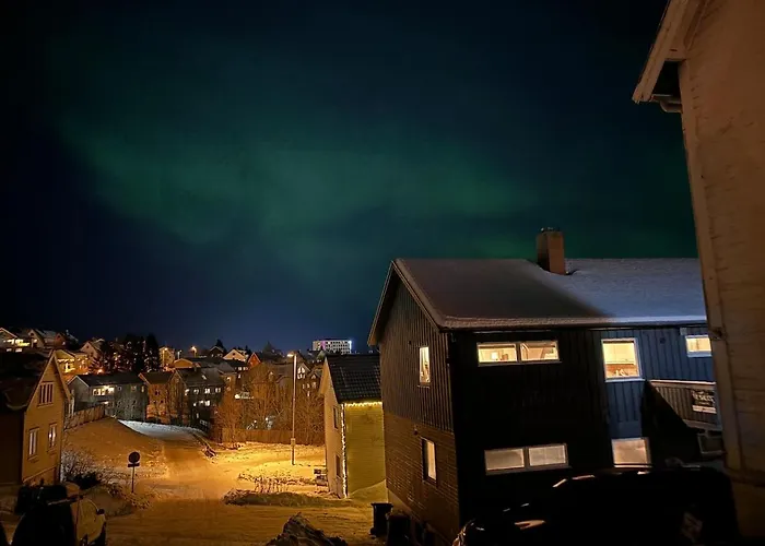 Arctic - Cozy Near And Fjord Διαμέρισμα *