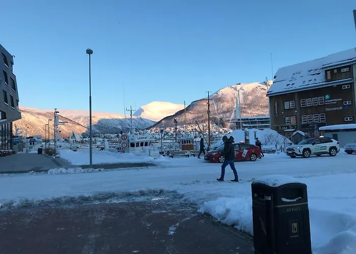 Arctic - Cozy Near And Fjord Διαμέρισμα
