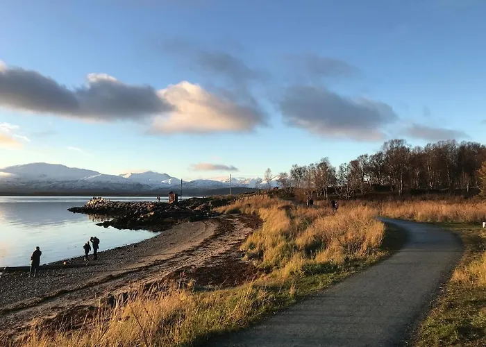 Apartamento Arctic - Cozy Near And Fjord *