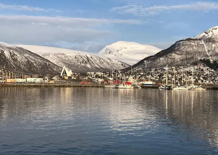 Arctic - Cozy Near And Fjord