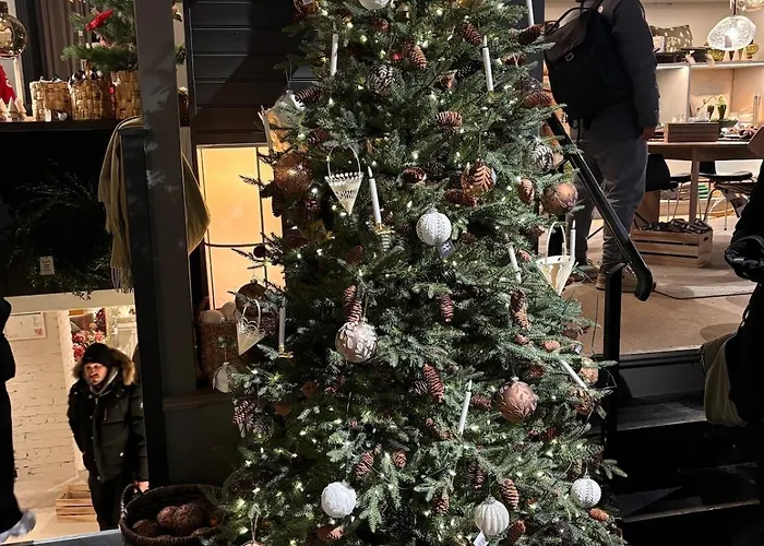 Arctic - Cozy Near And Fjord