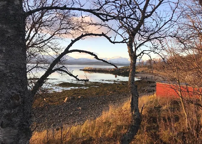 Arctic - Cozy Near And Fjord Apartamento Tromsø