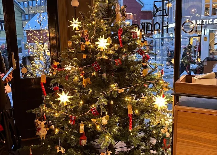 Arctic - Cozy Near And Fjord