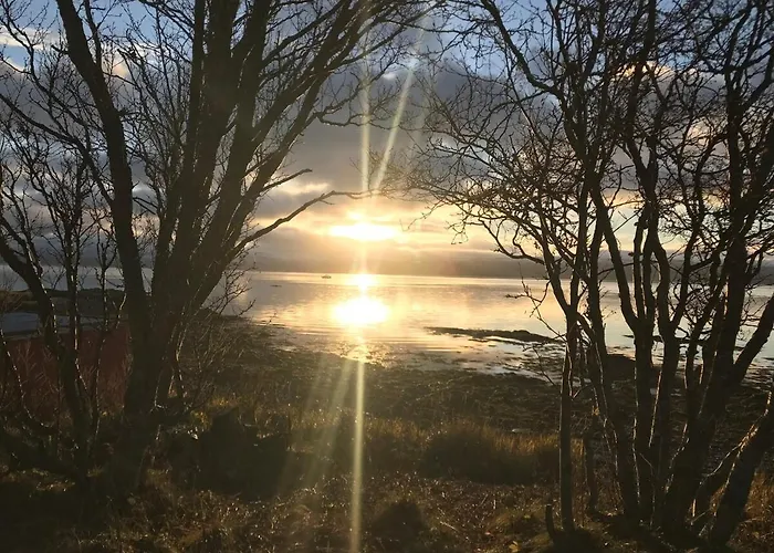 Arctic - Cozy Near And Fjord