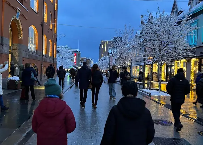 Arctic - Cozy Near And Fjord *